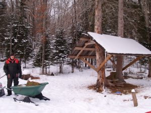 feeding site