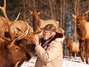 Hartsmere elk