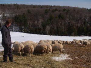 one flock