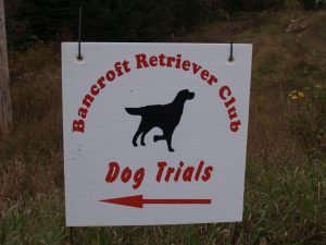 dogs trials