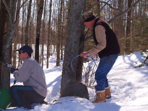 The Ranch maple syrup