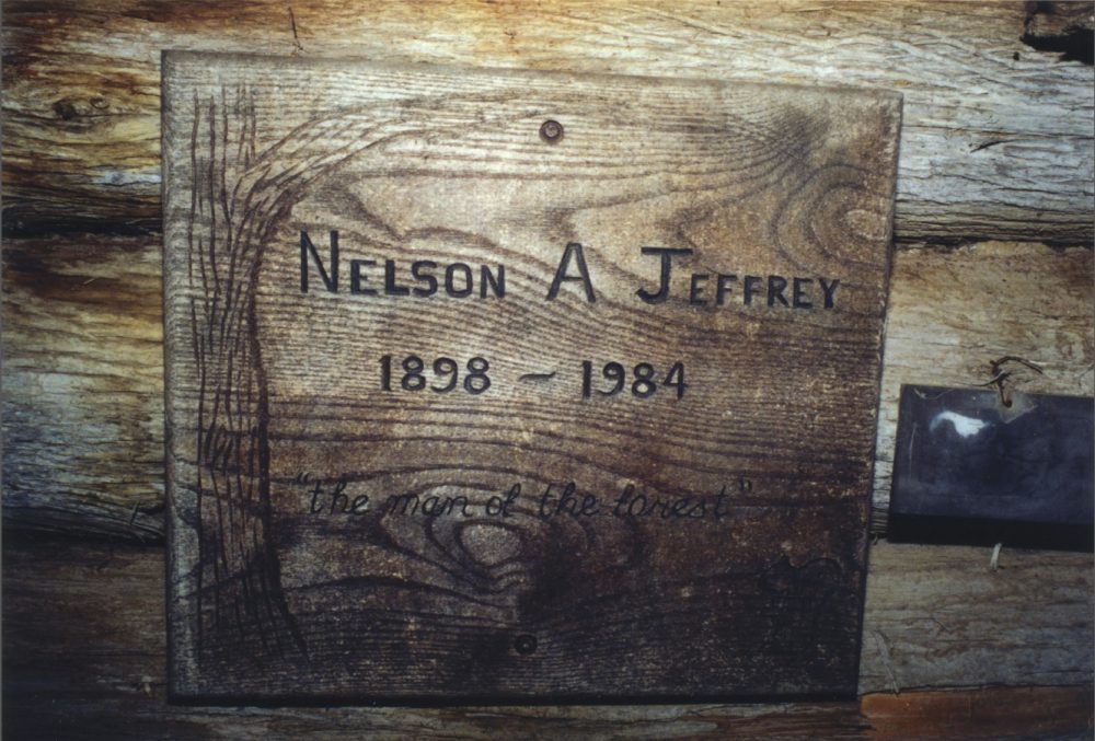 Nelson A Jeffrey