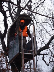 1. Gary Tree Stand