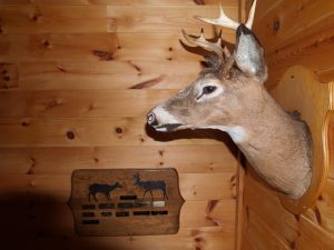 6. Buck Mount