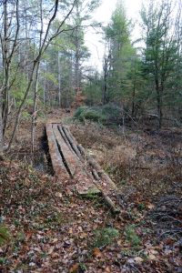 6. On The Lookout Trail