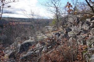 7. The Lookout