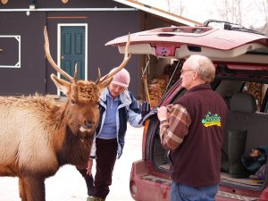 8..Jan. 12 08 Elk Jim