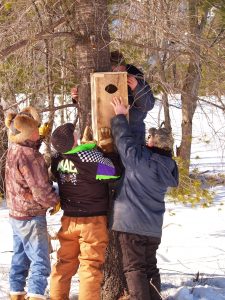 1e. Wood Duck Box