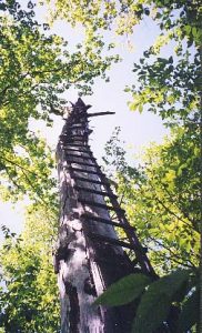 1 A. Ladder Up Smoke Lake Tower To Platform