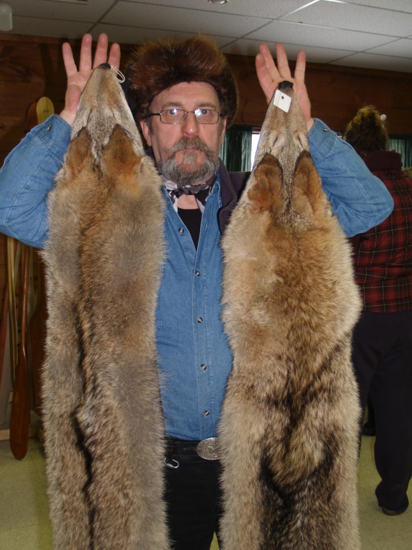 1. Coyote Fur