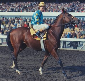 2c. Northern Dancer