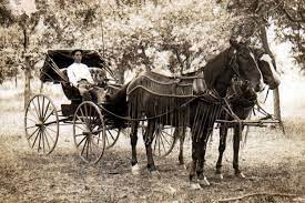 16a. Horse And Buggy