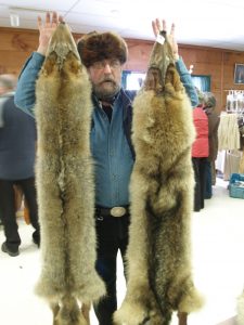 15 B. Fur