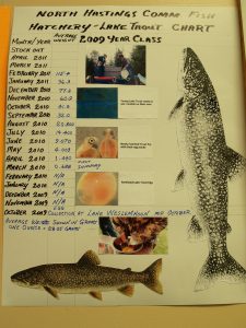 2. Lake Trout Study