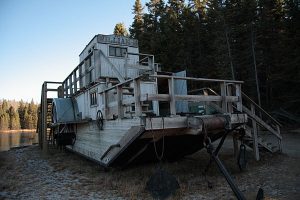 Alligator(William M) At Logging Museum In Algonquin Park In 2009.